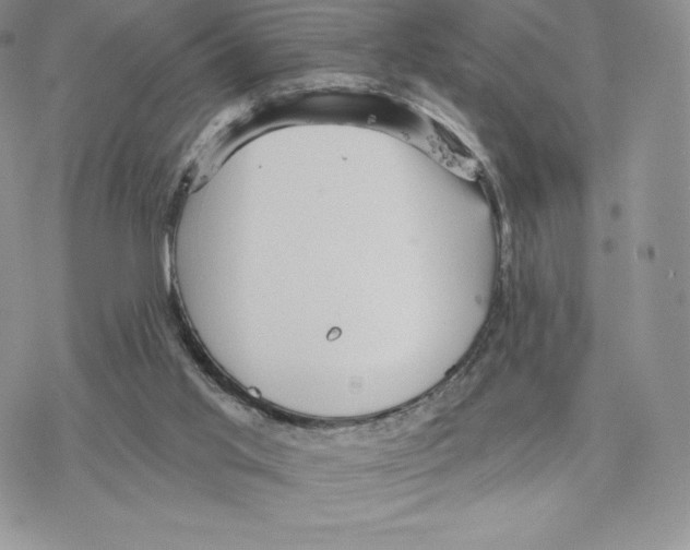 X0000077320013200611171754