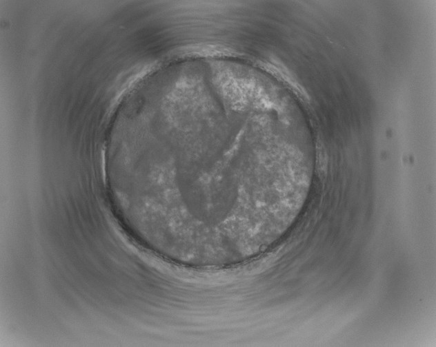 X0000077320014200611171754