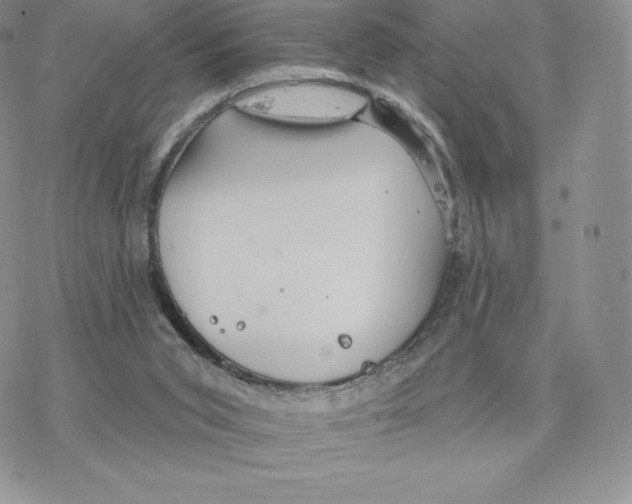 X0000077320015200611171754