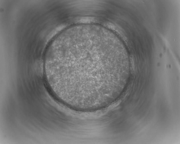 X0000077320016200611171754