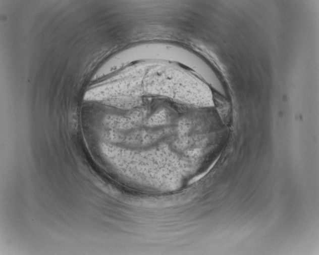 X0000077320017200611171754