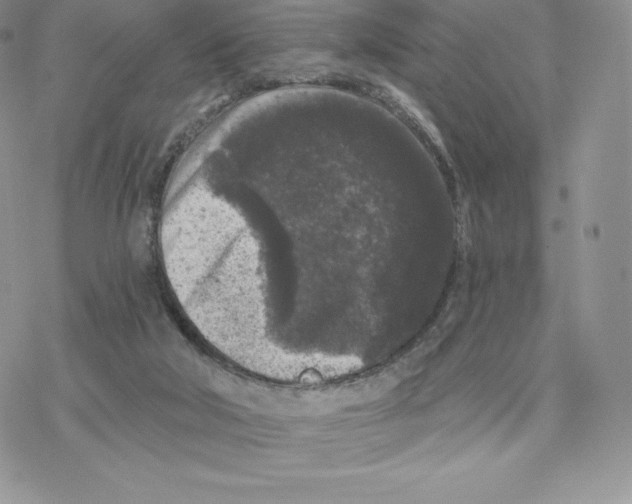 X0000077320018200611171754