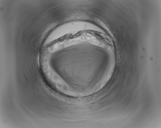 X0000077320019200611171754