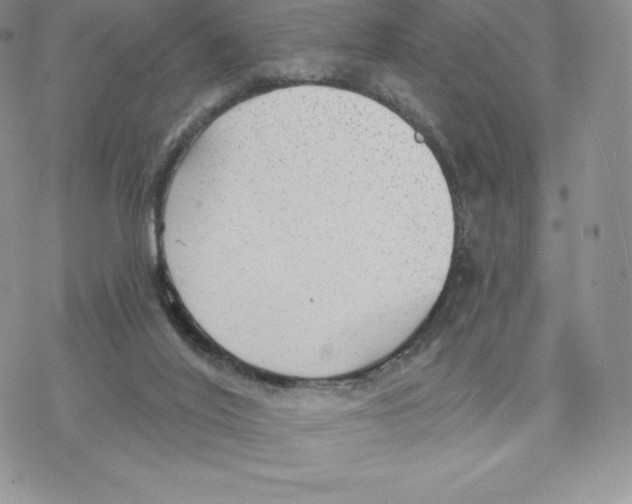 X0000077320020200611171754