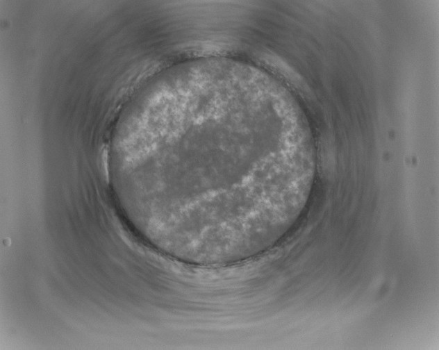 X0000077320022200611171754