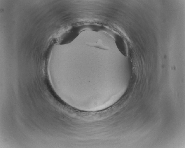 X0000077320023200611171754