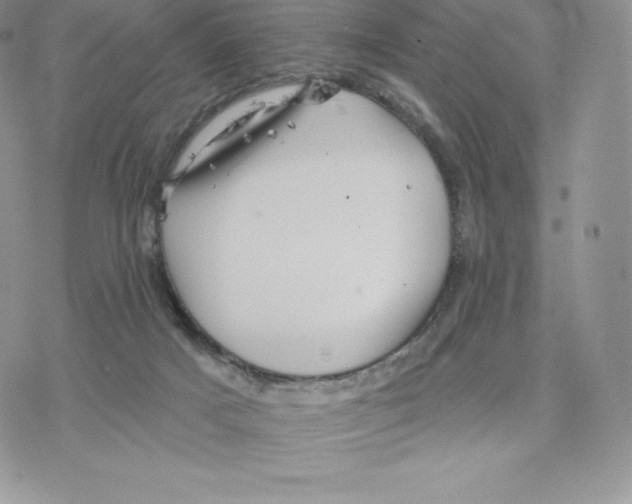 X0000077320025200611171754