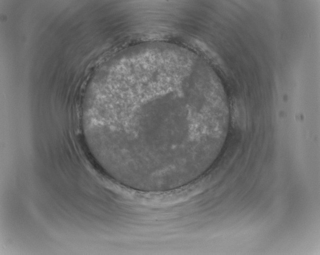 X0000077320026200611171753