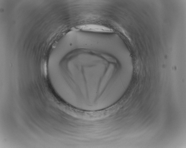 X0000077320027200611171753