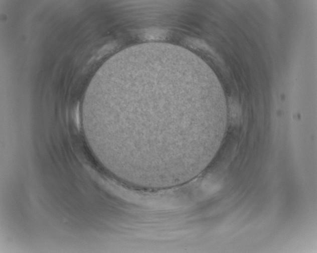 X0000077320028200611171753