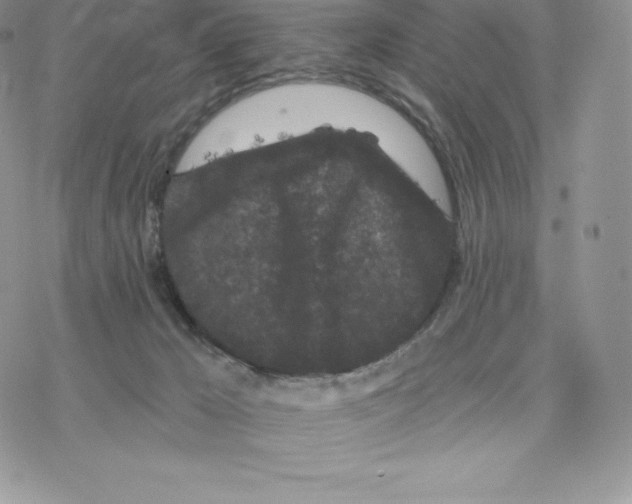 X0000077320029200611171753