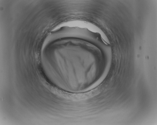 X0000077320031200611171753