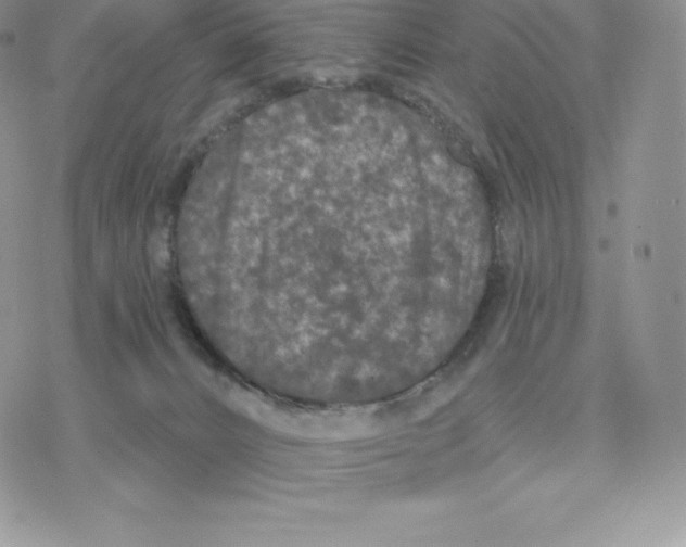 X0000077320032200611171753