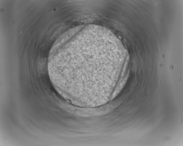 X0000077320034200611171753