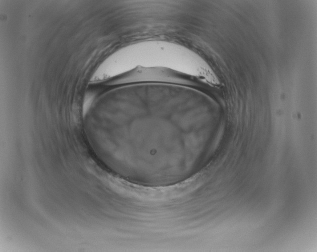 X0000077320035200611171753