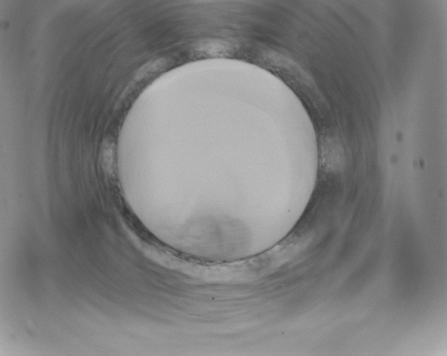 X0000077320036200611171753