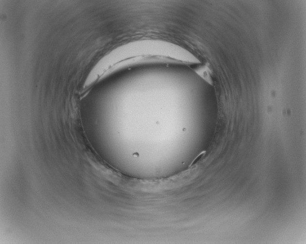 X0000077320037200611171753