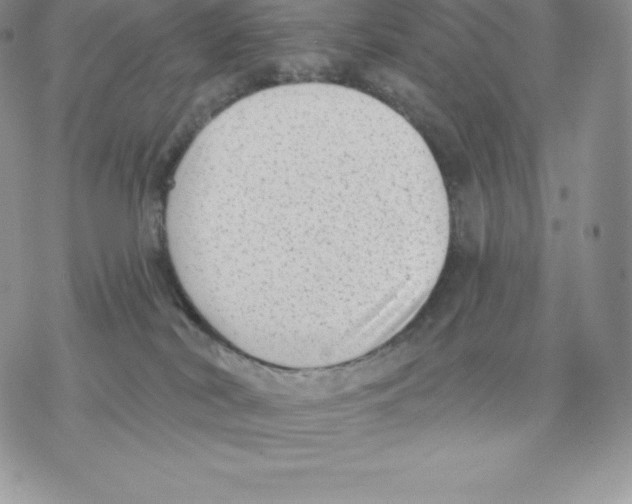 X0000077320038200611171753