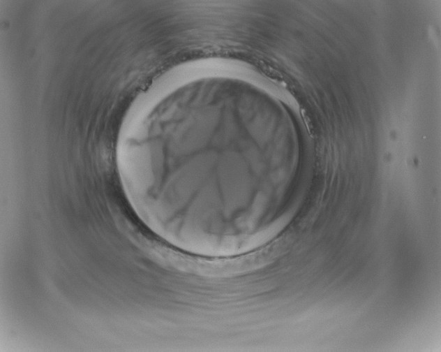 X0000077320039200611171753