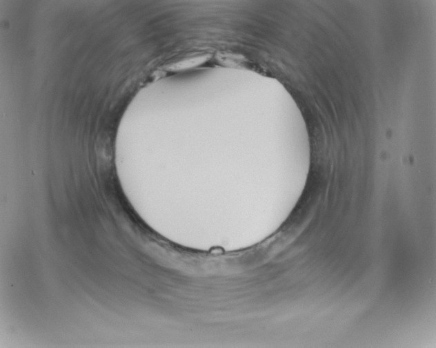 X0000077320040200611171753