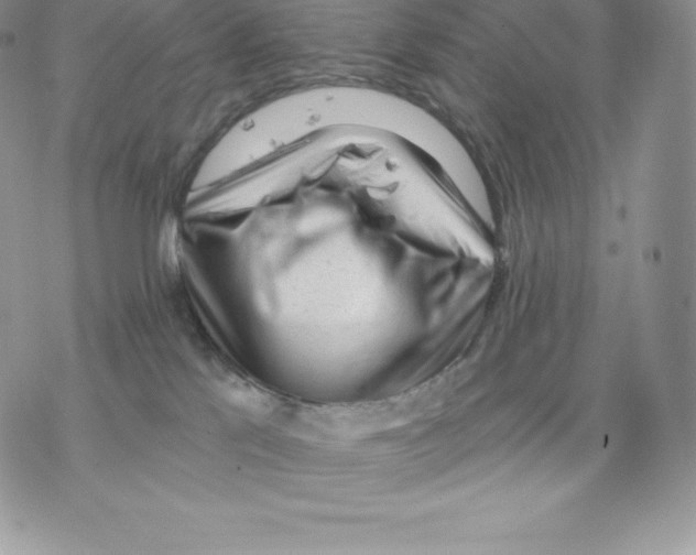 X0000077320041200611171753