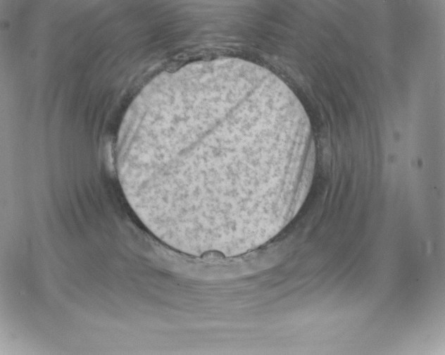 X0000077320042200611171753