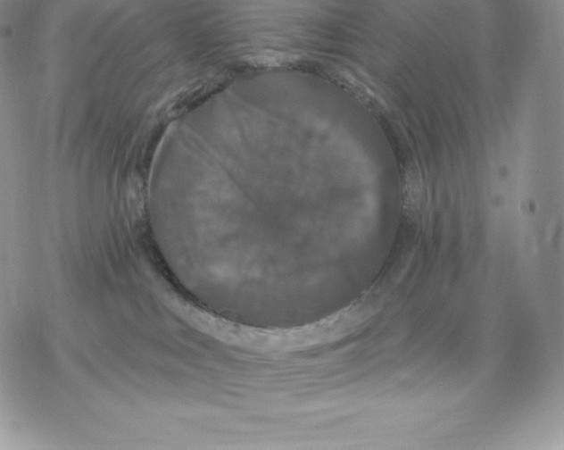 X0000077320043200611171753