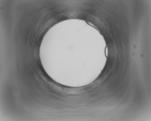 X0000077320044200611171753