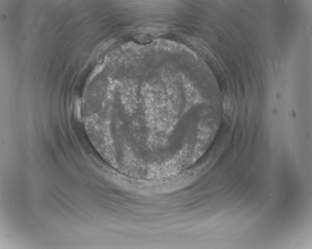 X0000077320046200611171753