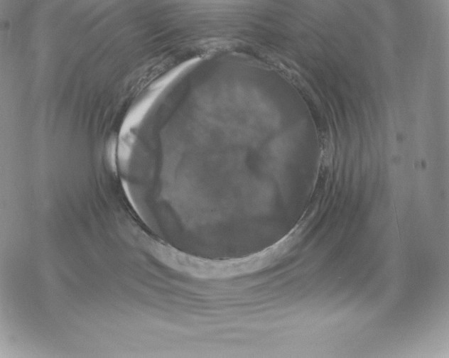 X0000077320047200611171753