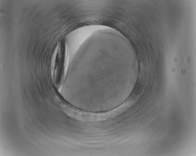 X0000077320048200611171753