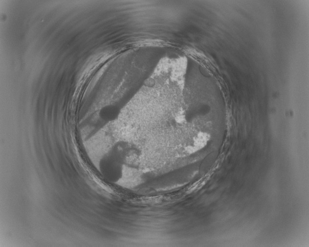 X0000077320049200611171752