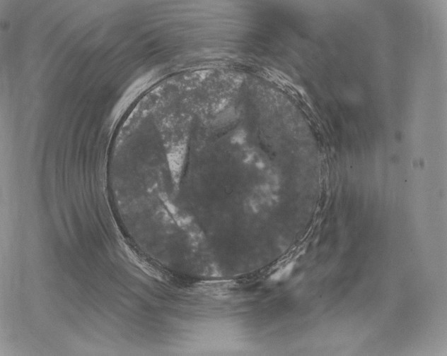 X0000077320051200611171752