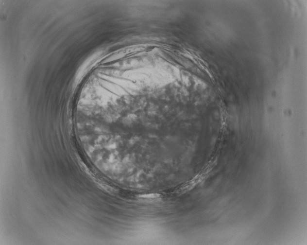 X0000077320053200611171752