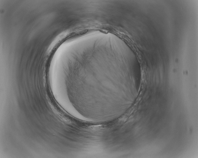 X0000077320054200611171752