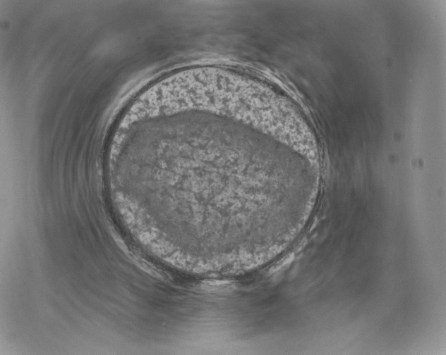 X0000077320055200611171752