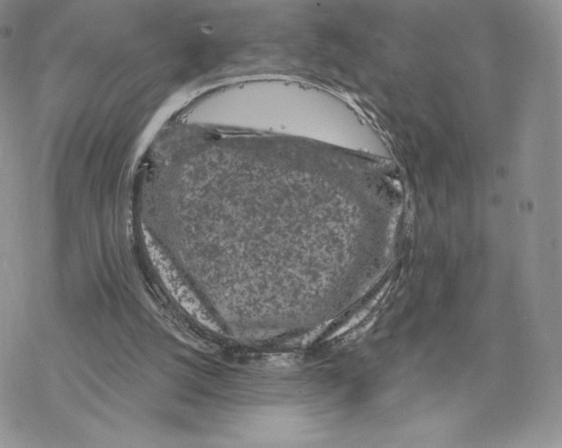 X0000077320056200611171752