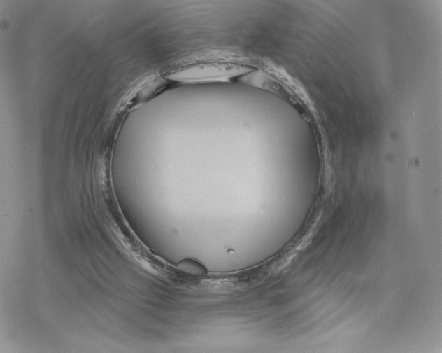 X0000077320057200611171752