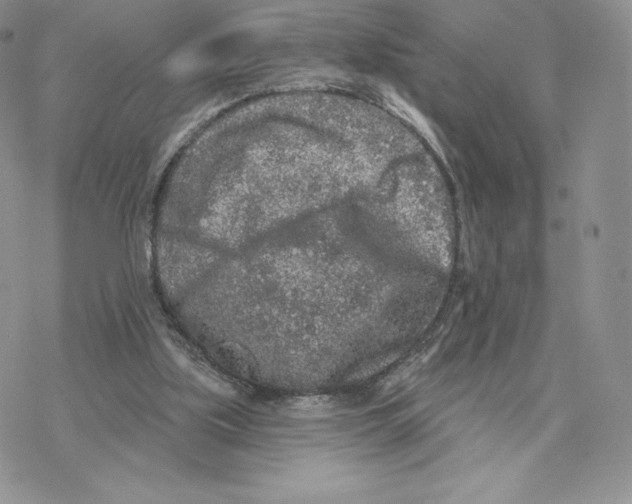 X0000077320059200611171753