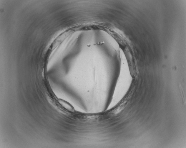 X0000077320060200611171753