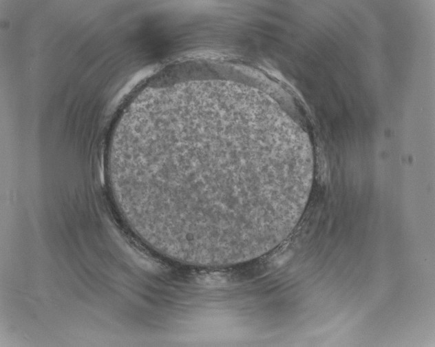 X0000077320062200611171753