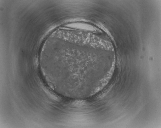 X0000077320063200611171753