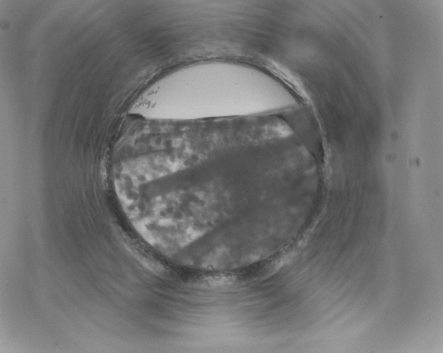 X0000077320065200611171753