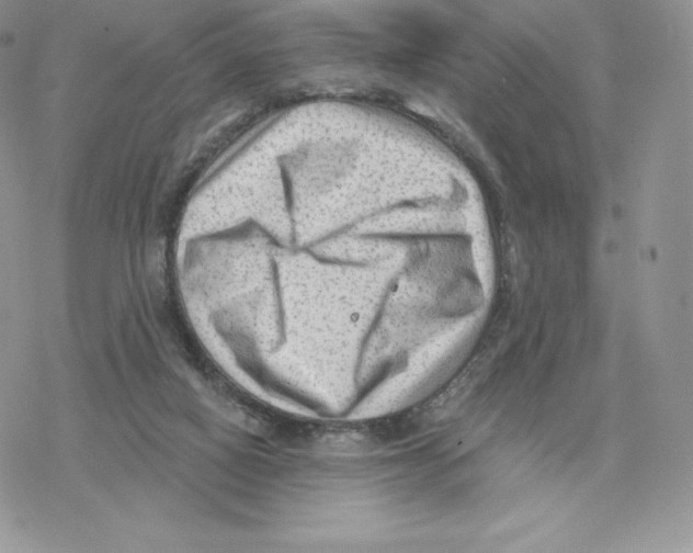 X0000077320066200611171753