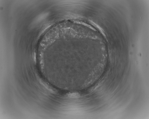 X0000077320067200611171753