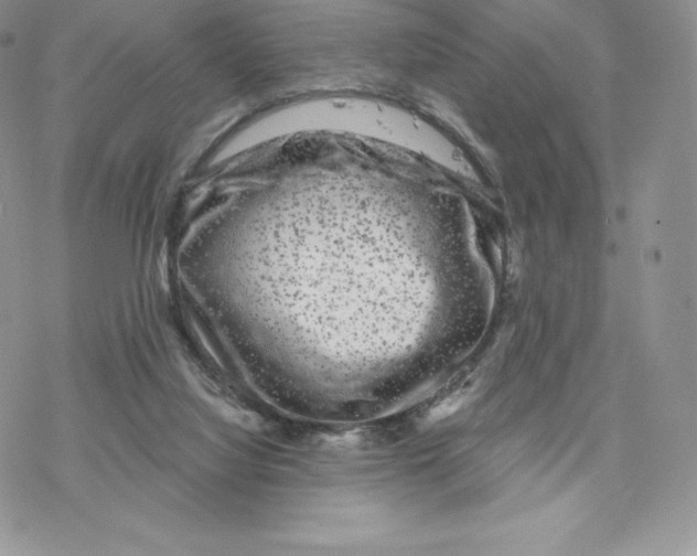 X0000077320068200611171753