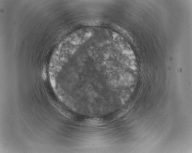 X0000077320069200611171753