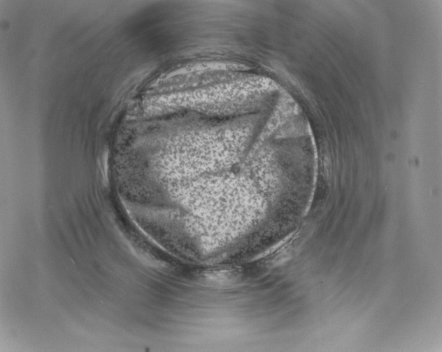 X0000077320070200611171753