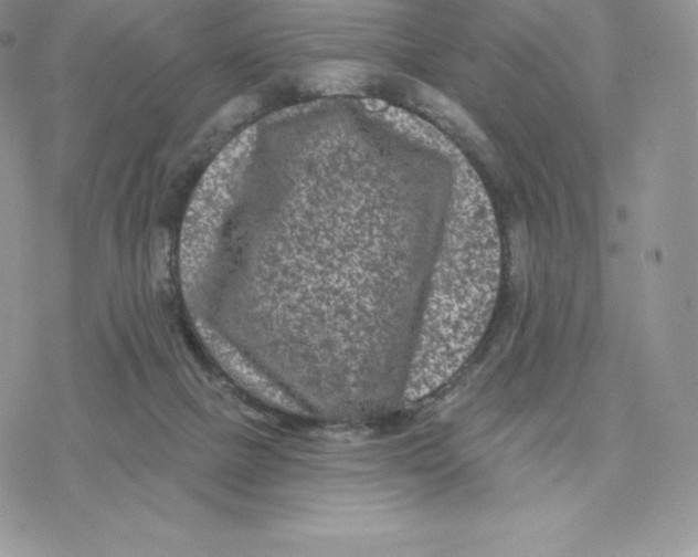 X0000077320073200611171753