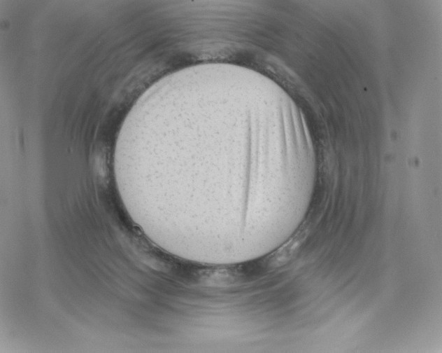 X0000077320074200611171753